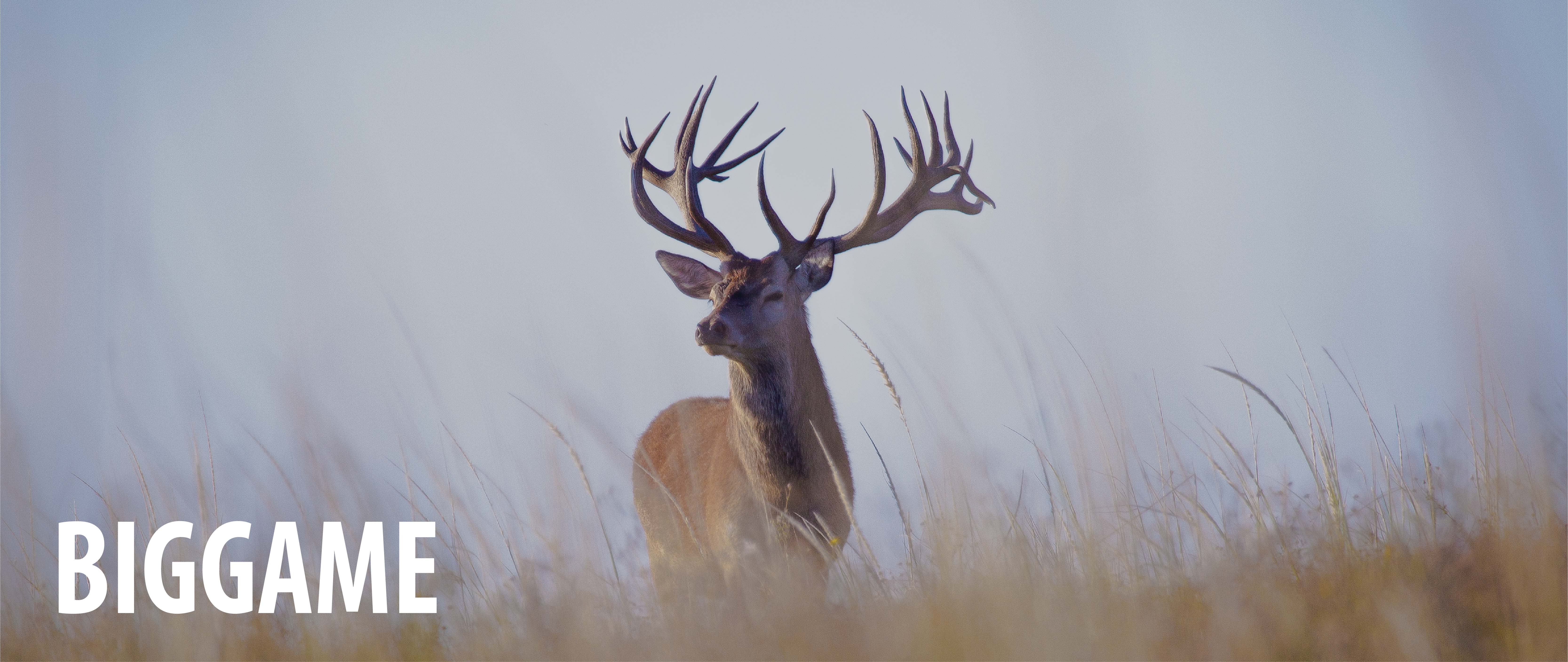 BIGGAME